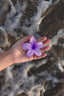 FERMAGLIO FLOWER VIOLA