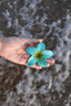 FERMAGLIO FLOWER CELESTE