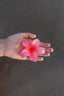 FERMAGLIO FLOWER ROSA